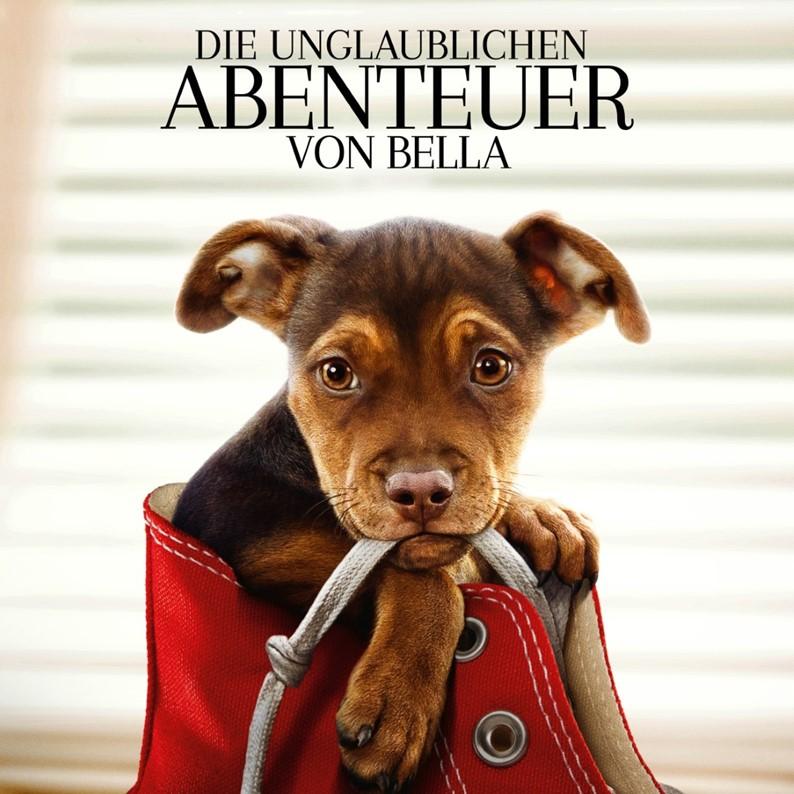 Titelbild Picknickkino - Die unglaublichen Abenteuer von Bella