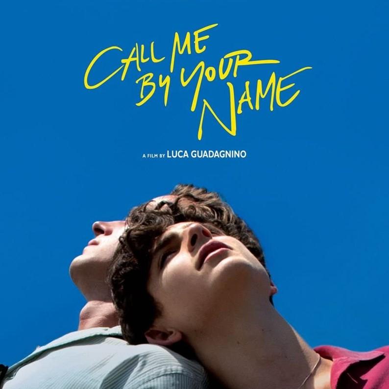 Titelbild Picknickkino - Call Me by Your Name