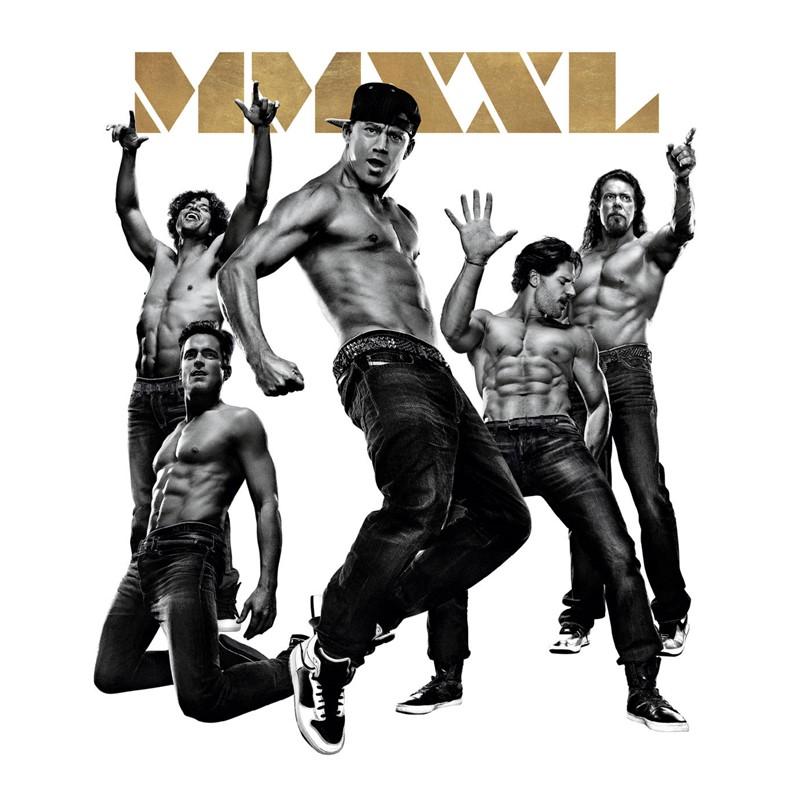 Titelbild Picknickkino - Magic Mike XXL