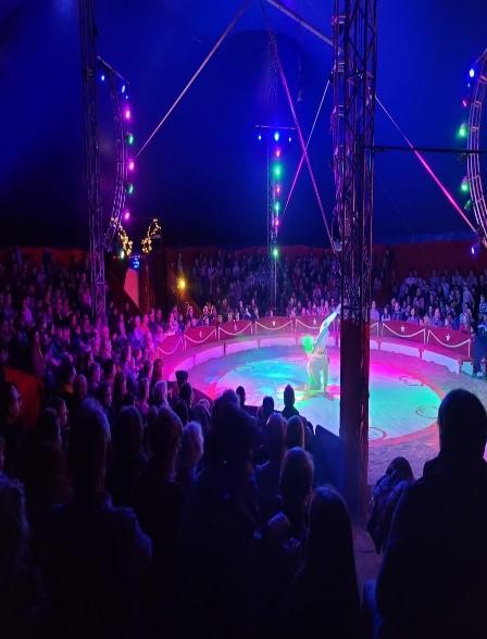 Titelbild Circus Festival