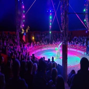 Circus Festival
