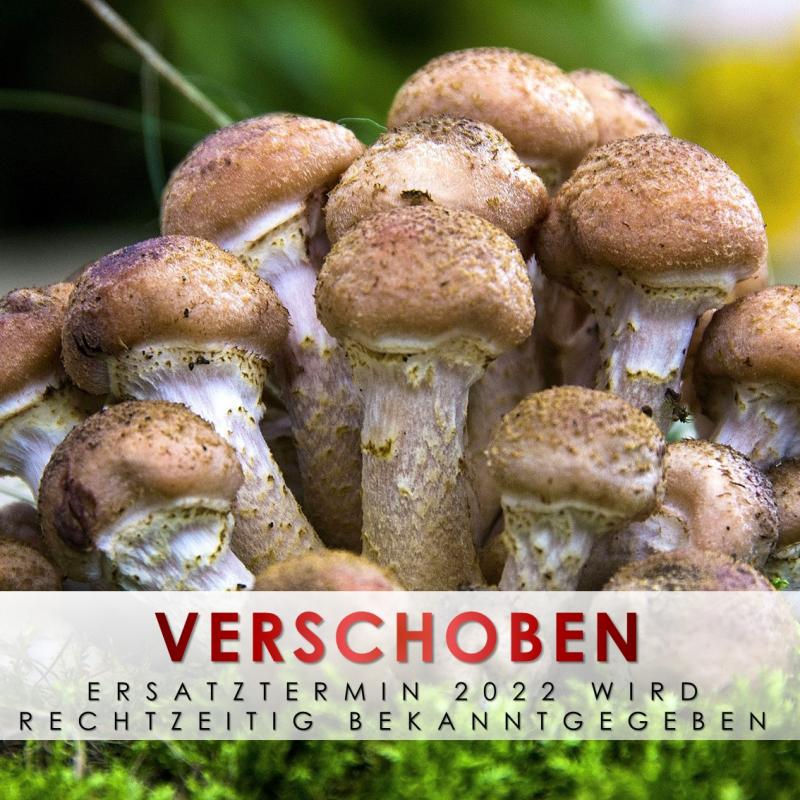 Titelbild Pilzausstellung 2021