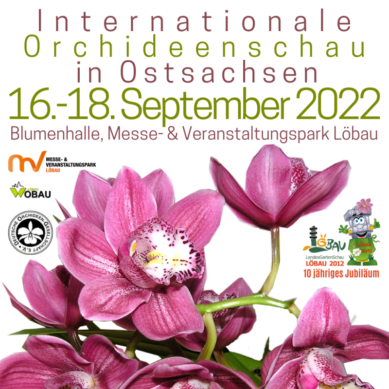 Titelbild Internationale Orchideenausstellung - 10 Jahre Landesgartenschau!