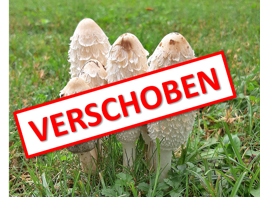 Titelbild Pilzausstellung 2020